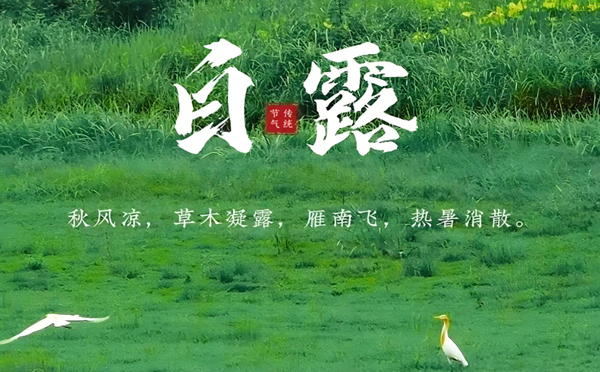 新和白露清新，新创洁与您共享洁净之美